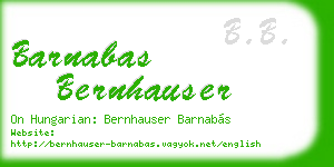 barnabas bernhauser business card